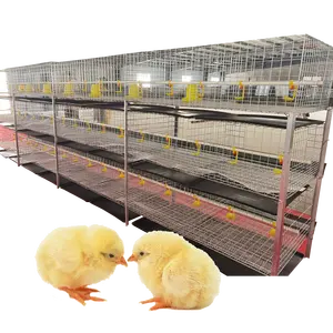 עוף כלוב עוף פטם כלוב פטם עופות חקלאות ציוד H סוג אוטומטי מערכת סוללה פטם עוף כלוב