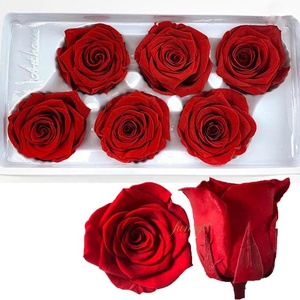 ดอกกุหลาบแดงอบแห้งขนาด 5-6 ซม. ขายส่ง สำหรับคริสต์มาสและวันวาเลนไทน์ - Product Image 1