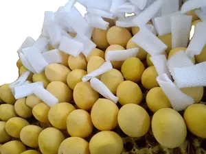 كيس ورقي عالي المقاومة للماء من Yintong لزراعة المانجو كيس ورقي لحماية الفاكهة كيس مانجو للاستخدام الزراعي جودة تايوان