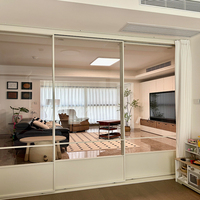 Portes coulissantes en aluminium à triple vitrage, résistantes aux ouragans, avec verre dépoli français, pour chambre, salon, hôpital, porte de séparation intérieure