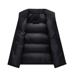 Chaleco de plumón para hombre, nuevo modelo de otoño e invierno, con cuello de algodón, sencillo, cálido, informal, cómodo y a la moda. - Product Image 3