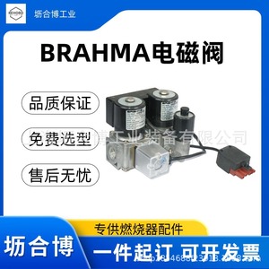 Brahma Solenoid Valve 1/2 In Ac 230 V 0 10 Bar Control Valve - Product Image 4