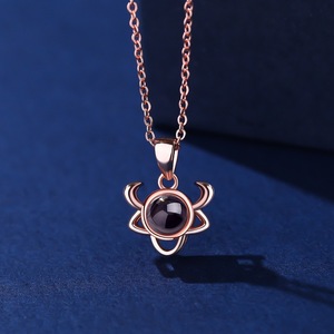 Chaînes <span class=keywords><strong>en</strong></span> alliage de cuivre à projection haute définition, tendance, 12 signes du zodiaque, photos couleur <span class=keywords><strong>en</strong></span> 100 langues, micro-gravure de texte - Product Image 4