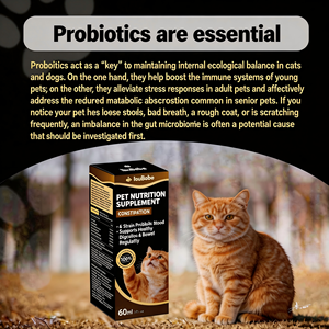 Gocce Probiotiche Premium per il Sollievo dalla Stitichezza degli Animali Domestici - Miscela a 6 Ceppi per la Digestione, Disponibile OEM ODM - Product Image 4