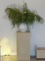 Présentoir Moderne en Bois pour Magasin de Vêtements, Café, Couloir d'Entrée, Support d'Angle pour Plantes, Table d'Appoint, Présentoir à Plantes