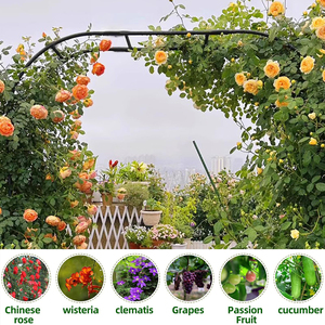 Nhà Máy Cung Cấp Vườn Vòm Vườn Trellis Arbor Nho Arbor Pergola Cho Leo Núi Thực Vật Hoa Hồng Dây Leo Cô Dâu Đảng Trang Trí - Product Image 6