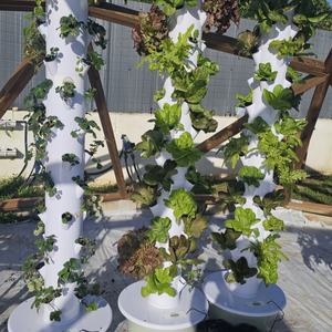 Oem Tour agricole verticale Système de culture hydroponique vertical <span class=keywords><strong>pour</strong></span> jardin Tour aéroponique hydroponique 20 28 36 Plant LED Grow Lights - Product Image 4