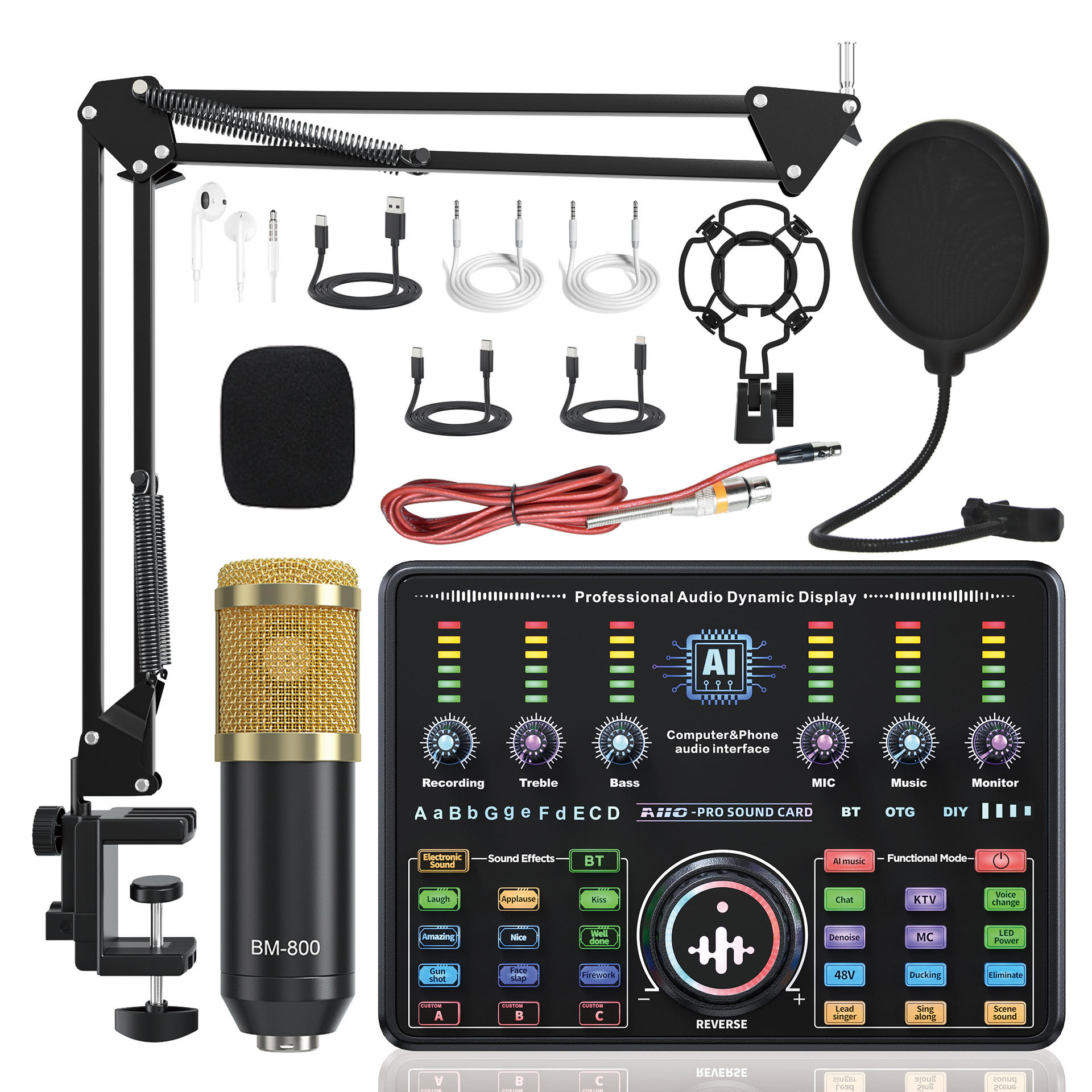 BM800(Black Gold)+Ai10 sound card