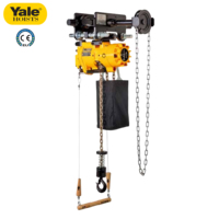 Palan à chaîne pneumatique 220V-440V yale CPA 300kg 500kg 1 tonne 2 tonnes 3 tonnes 5 tonnes avec ATEX MA
