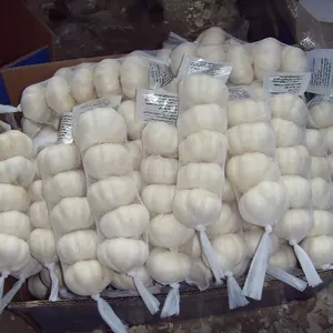 Wholesale Hot Selling Garlic Price In China Fresh China 3p Pure White Garlic Fresh Garlic