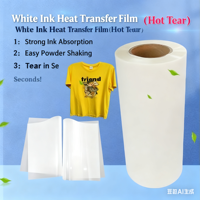 Film de transfert DTF en rouleau de 30, 33, 60 cm, pelable à chaud pour l'impression sur t-shirts et textiles