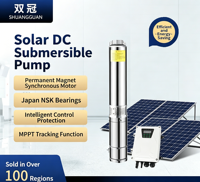 Pompe à eau submersible solaire photovoltaïque FLA OEM pour l'irrigation agricole