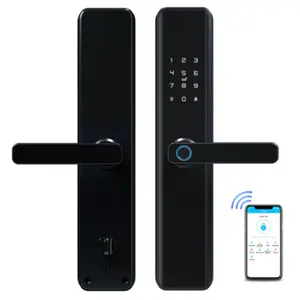 Security Anti Theft Smart Biometric Intelligent Door Password Locks Fingerprint Lock Electronic Lock for Door