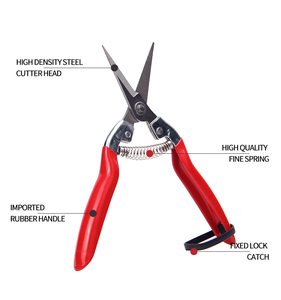 6.5 "inch cắt tỉa cắt HCS vườn kéo trái cây nho cam kéo cà chua kéo - Product Image 1