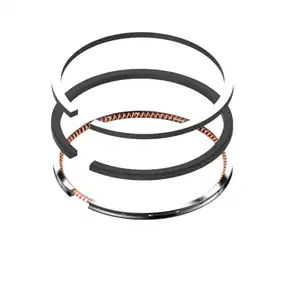 Engine Piston Ring