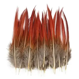 40/48Pcs Plumes teintées naturelles assorties en vrac 6 Styles Grandes Plumes mélangées Motif Long Plumage de <span class=keywords><strong>Faisan</strong></span> - Product Image 2