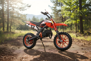Precio Directo de Fábrica, Motocicleta Todoterreno de 49cc con Enfriamiento por Aire, Motocross de 2 Tiempos para Niños, 40-60km/h, Envío Gratis - Product Image 2