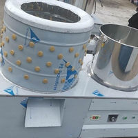 Plumeuse à volailles pour l'élevage de poulets |   Équipement d'épluchage des plumes pour l'élevage de poulets, directement de l'usine
