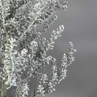 One-Stop Großhandel Getrocknete Blumen & Pflanzen Natürliche Blumen für Blumenarrangements DIY Getrocknete Blumenmaterialien