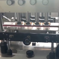 Machine de remplissage, de bouchage et d'emballage semi-automatique économique et personnalisable pour bouteilles PET de 500 ml, 1 L, 2 L (lait, yaourt, jus de fruits)