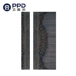 Nouvelle conception de porte en acier CR/GI, revêtement de porte en métal, tôle de porte avec prix compétitif - Product Image 2