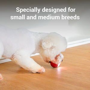 Dayanıklı sert kırmızı noel eğlenceli köpek stres topu Fetch oyuncaklar özel Logo çin'de yapılan Modern spor moda kauçuk plastik malzeme - Product Image 2