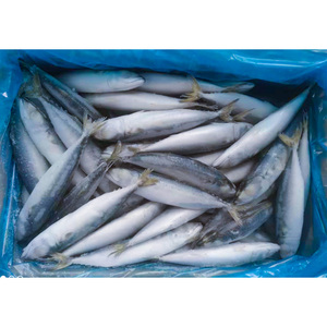 جولة كاملة أو HG طازجة ومباشرة من مصنع الصين بمصدر سائب - Product Image 4