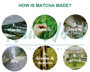 Matcha en Polvo Rainwood, Matcha de Grado Ceremonial, Matcha en Polvo Ceremonial, Matcha en Polvo de Grado Ceremonial de Japón - Product Image 3