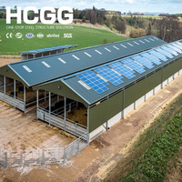 Grande structure en acier préfabriquée galvanisée pour hangar agricole, entrepôt de stockage, grange - Fournisseur exportateur