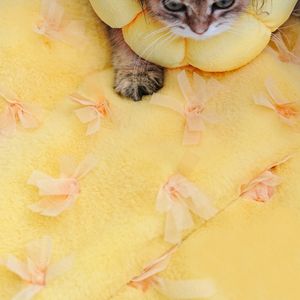 Cachorro gato mascota pequeña respetuoso con el medio ambiente tejido moderno dibujos animados polar hogar lavable cuatro estaciones cálido perro gato cama amarilla Manta - Product Image 1