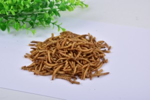 SINO CROWN Ver <span class=keywords><strong>de</strong></span> <span class=keywords><strong>farine</strong></span> séchée pour les additifs alimentaires secs - Product Image 2