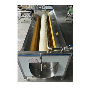 Potato and Carrot Cleaning <b>Vegetable</b> <b>Brush</b> Peeling and Cleaning Machine - Product Image 3
