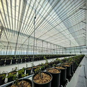 Invernadero Agrícola de Vidrio de Gran Tamaño y Múltiples Vetas, Diseño Prefabricado, Fácil Operación para Granjas, Viveros y Agricultura Urbana - Product Image 5