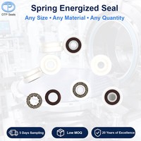 Seal Kustom UHMWPE Seal Rotary Spring Ultra High Molecular Weight Polyethylene V-Spring 2 FKM O Ring Non-standar Pabrik OEM