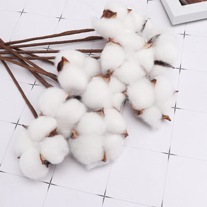 Boules <span class=keywords><strong>de</strong></span> <span class=keywords><strong>coton</strong></span> séchées naturelles d'intérieur DIY <span class=keywords><strong>tige</strong></span> unique décor <span class=keywords><strong>de</strong></span> fleurs branche florale couleur blanche tiges <span class=keywords><strong>de</strong></span> <span class=keywords><strong>coton</strong></span> naturel séché fleur - Product Image 5