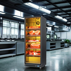 Volledig uitgeruste 316L 1-deurs koelkast met constante temperatuur, hoge esthetische waarde, commercieel gebruik voor rundvlees & vis - Product Image 1