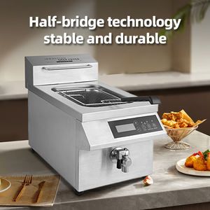 Friggitrice elettrica commerciale 8L/12L con controllo a manopola in acciaio inox che solleva friggitrice profonda con filtro per ristorante - Product Image 4