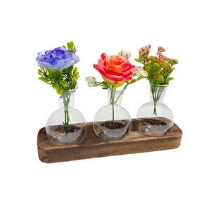 Vas borosilikat kaca hidroponik, Desktop tinggi vas kayu dasar kantor ruang tamu Dekorasi orang malas naik air tanaman hijau - Product Image 5