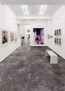 Cao cấp thảm thảm và thảm cho phòng khách có thể giặt đảo ngược - Product Image 4