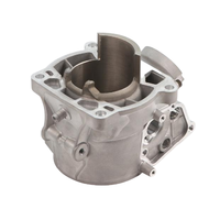 Vente en gros d'usine, cylindre standard OEM plaqué Nikasil pour KTM 300 EXC XC-W TBI 2024-2026, pièces de bloc moteur de moto tout-terrain