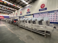 Commerciële fruit- en groentebellenwasser van roestvrij staal, industriële reinigingsmachine