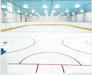 Penjualan langsung pabrik rink es sintetis plastik HDPE/arena hoki es/rinks seluncur es