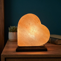 Lampe en sel de l'Himalaya en forme de cœur, cristal naturel, Feng Shui, lumière décorative de nuit, faite à la main, portable, certifiée CE, SAAMIA IMPEX