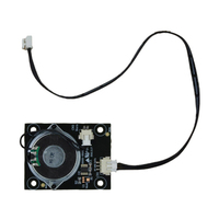 Chimenea Eléctrica de Pared con PCBA y Altavoz, Placa de Control para Chimenea Eléctrica con Función de Audio, OEM ODM