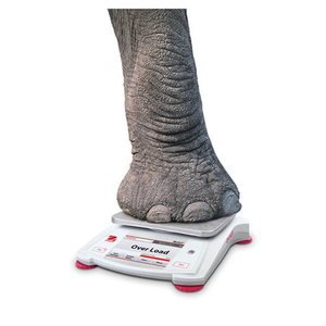 Balance électronique portable Ohaus STX123 STX222 STX422 STX622 STX1202 STX2201 STX6201 - Product Image 4