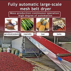 Continuous Type Automatic <b>Working</b> Factory Sell Food Dryer Machine Herb Dryer Machine Fruit Vegetable Mesh <b>Belt</b> Dryer - Product Image 5