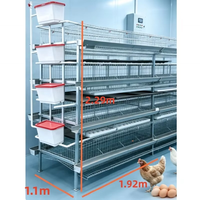 Cages à volailles de style H entièrement assemblées pour poules pondeuses, avec perchoirs réglables et plateaux de nidification inclinés