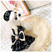 Robe pour chien en tweed floral style britannique, chaude et douillette pour l'hiver, avec boutons perlés, tenue de luxe de créateur