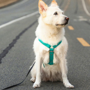 Harnais pour chien réglable, personnalisé, imperméable en PVC, anti-traction, ensemble de harnais de mode pour animaux de compagnie, vente en gros, pour la promenade et l'entraînement des chiens - Product Image 2