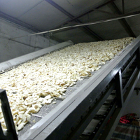 Machine de séchage du manioc Konjac Garri Séchoir continu à courroie industrielle pour aliments secs